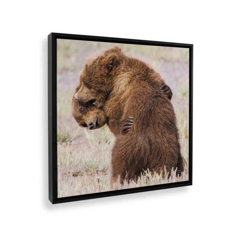 «Bear Hug» par Nathan Larson, reproduction d'art, 20 W x 20 H, Black, Framed Canvas