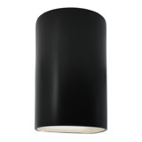 Ambiance Collection™ Outdoor Flush Mount