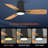 Emidia Flush Mount Ceiling Fan with LED Light for Medium Rooms-1816483604-1812047006