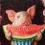« porc out » sur toile-21494522-72015458