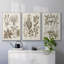 Sépia Botanical Journal VI 3 pièces-97711686-97711685