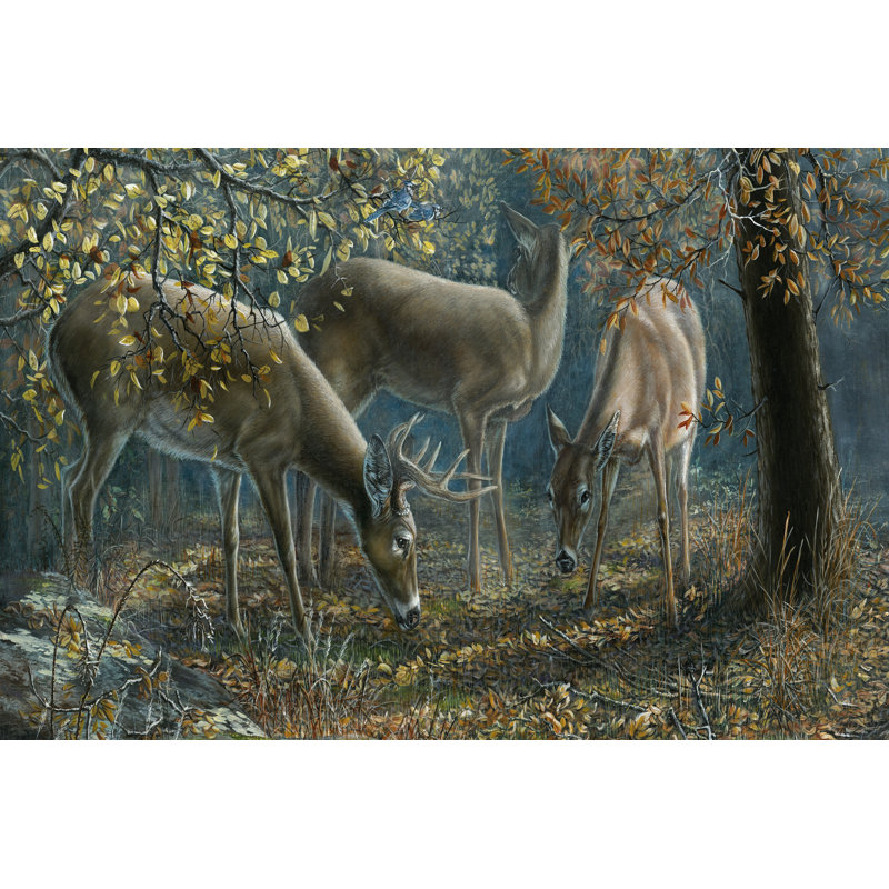 Morning Chatter - Wrapped Canvas Print, 20cm H x 30cm W