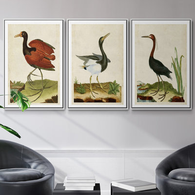 Heron Portrait IV, ensemble de 3 toiles encadrées