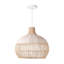 Adabel Dome Pendant Lamp, 1 Light-1681683206
