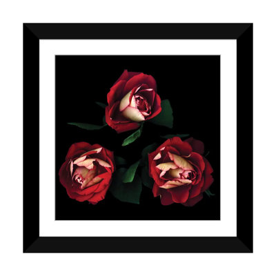 " Passionate Trio " by Magda Indigo