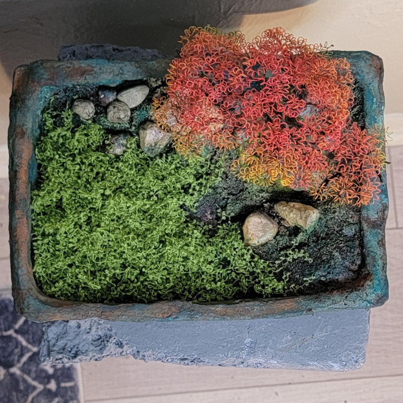 Aureate Bonsai