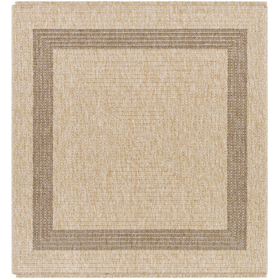 Sonali Indoor / Outdoor Rug