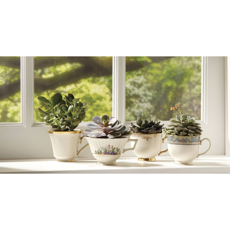 Verre 6 oz. Lenox Tasse à thé