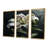 Rowlett - Lily Wall Art Set-108459170-108459175