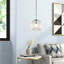 Luminaire suspendu simple 1 lumière-1911834553