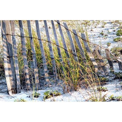 Sea Oats I - Wrapped Canvas Print
