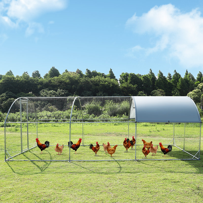 Grande cage à poulets en métal Fredu