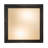 Acrylic Flush Mount