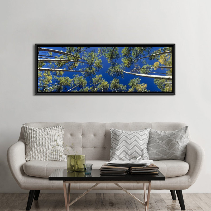 « panoramique white aspen trees », reproduction de photo sur toile tendue, H 24 po x l 72 po x P 1,5 po