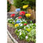 Jardin dépilé en métal