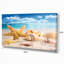 «Starfish and Seashells on Beach», photographie-1098963760-1098963771