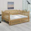 Lit de jour de style traditionnel avec lit gigogne pour chambres d'amis compactes