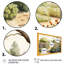 «Farm Fresh Garden II», reproduction d'art sur toile-1098049739-1098049732