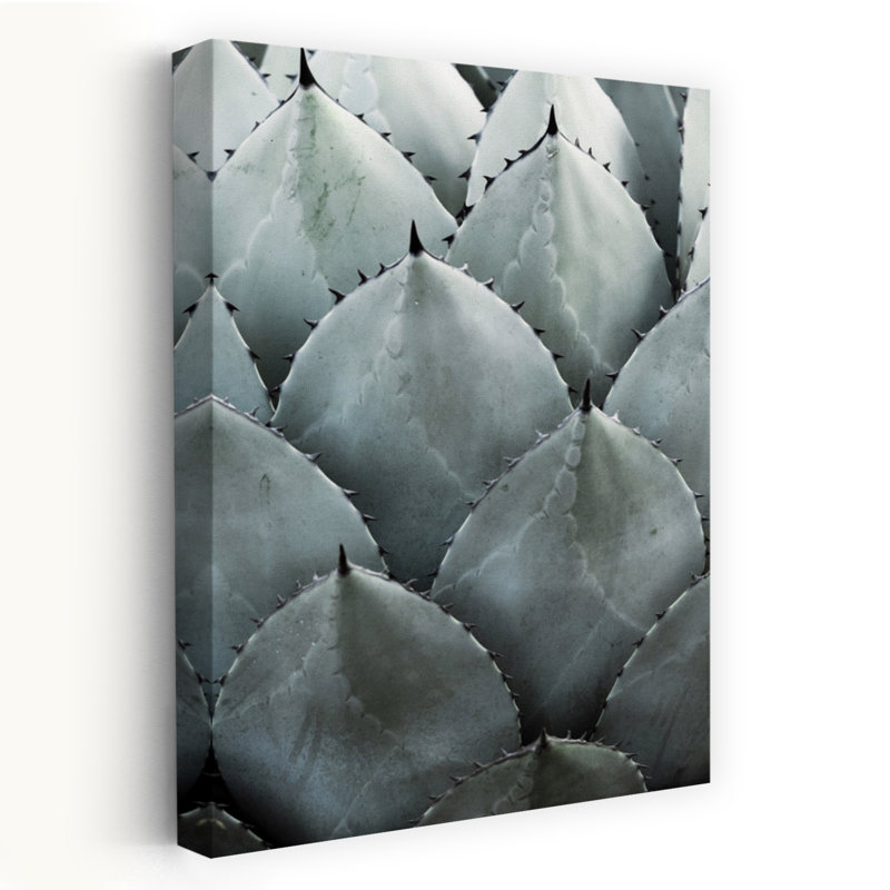 Clint - Agave, symétrie abstraite, art mural contemporain, 48" H x 32" W
