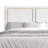 Jerell Upholstered Unfinished Standard Bed-511999962-511999960