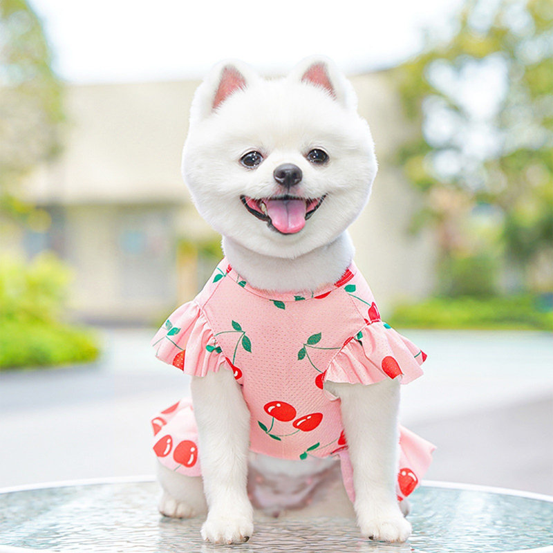Acrylique robe de soirée en soie pour chien, E