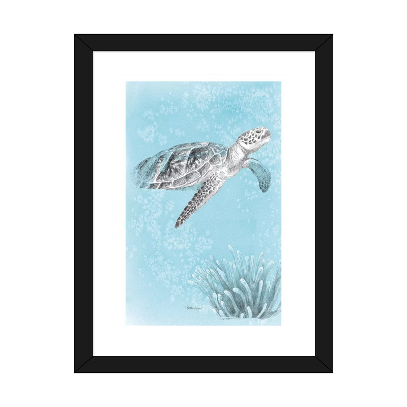 «Coastal Sea Life I V2» par Beth Grove - reproduction d'art, Papier encadré noir, Blanc, H 24 po x l 16 po x P 1 po
