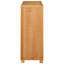 Engineered Wood Rectangle Accent Chest