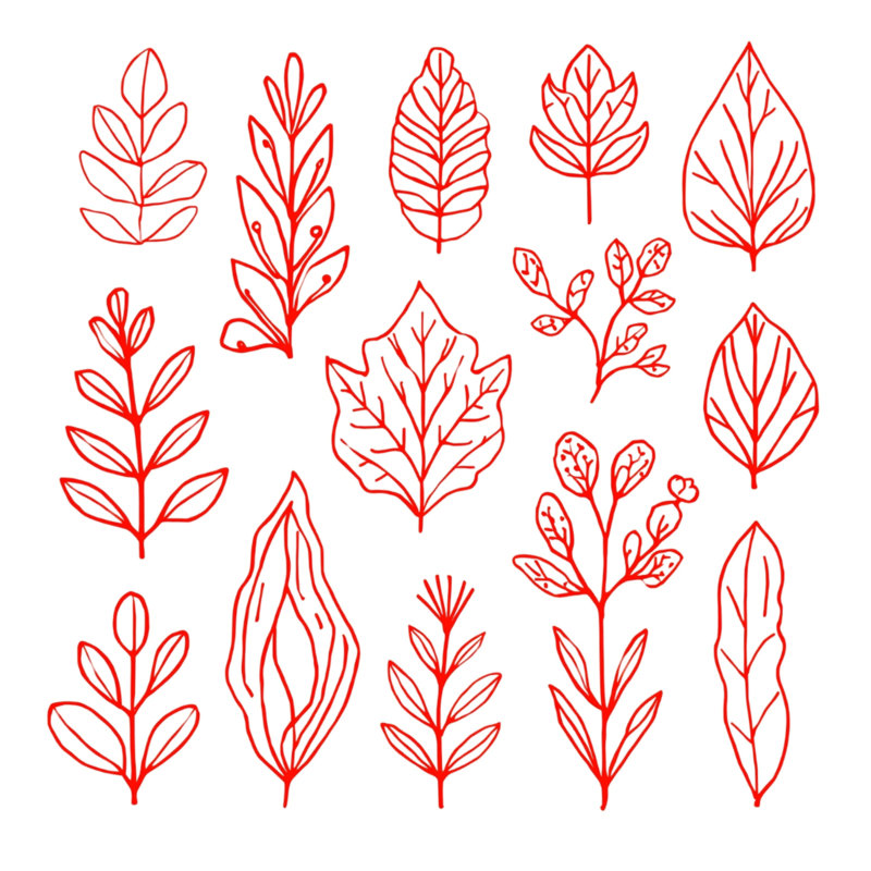 Tapisserie murale «Red Leaf Illustration» - décoration murale feuilles, 68 po H x 80 po L avec 4 œillets