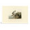 Bartram Sandpiper (Plate 303) - Art mural sur toile paysage