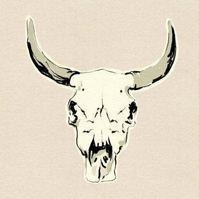Crâne de bœuf II