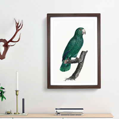 Emerald Cuban Amazon Parrot by F. Levaillant - Picture Frame Painting Print