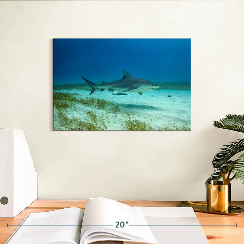 Brampt Bull Shark Habitat, 8" H x 12" W