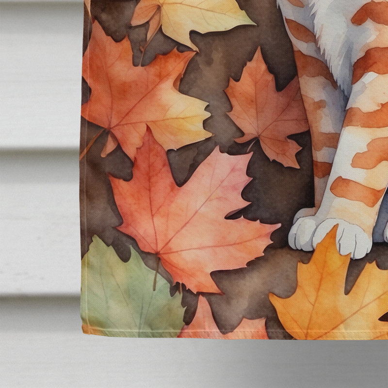 Chat en feuilles d'automne, Cheetoh