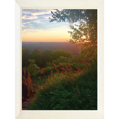 Éveil printanier - photographie