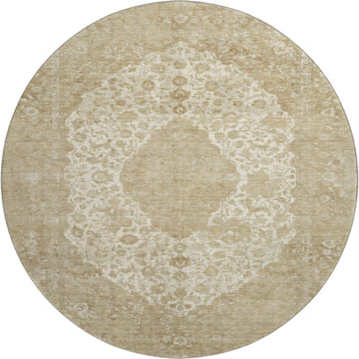 Premium Machine Washable Honig AMF1657 Global Rug