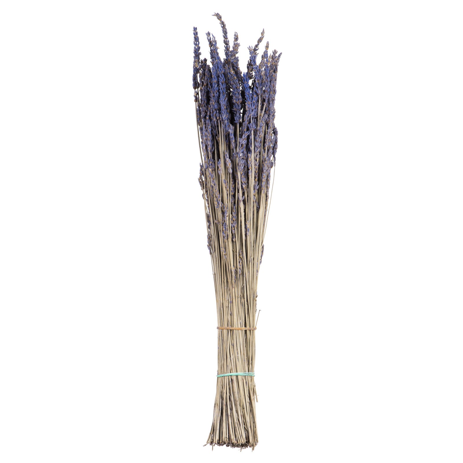 Lavender Arrangement