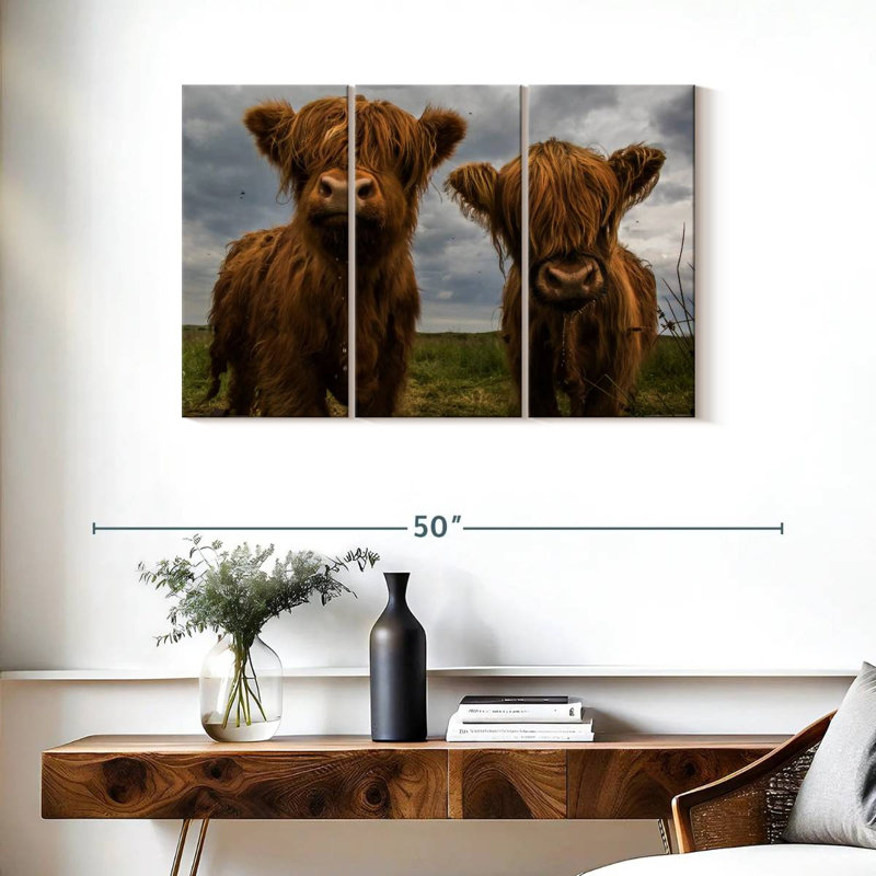 Brampt Baby Highland Cows, H 24 po x l 38 po