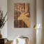 Cerf Brampt-108525466