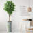 75'' Faux Ficus Tree in Pot