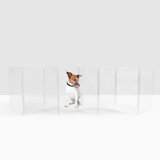 Low Clear Freestanding Zig Zag Pet Gate