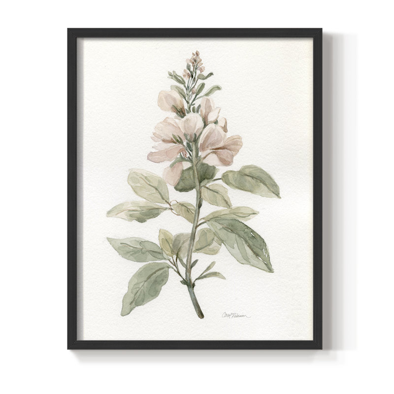 «Flea Market Botanical I», reproduction encadrée - bois massif, H 11 po x l 9 po, Noir, noir, noir, noir