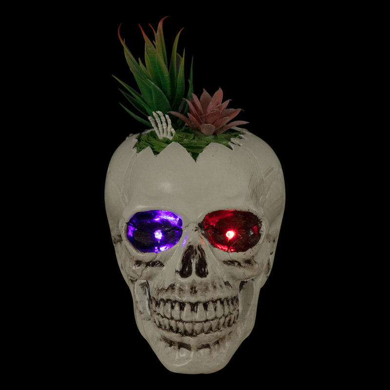 Pot à fleurs 8,75 "à DEL avec crâne d'Halloween