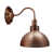 Brushed Copper