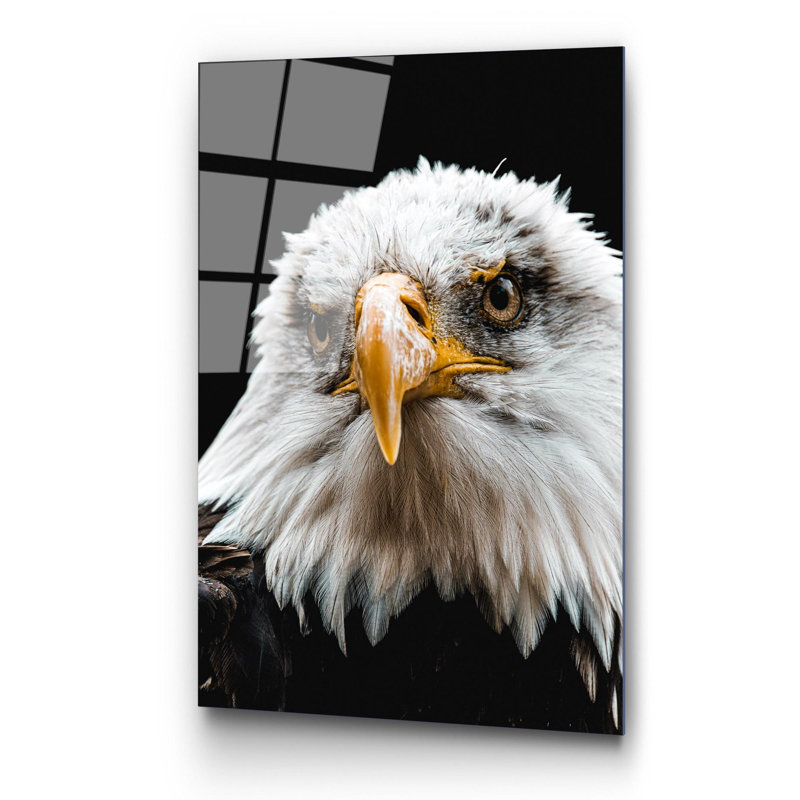 Boze Wall Decor