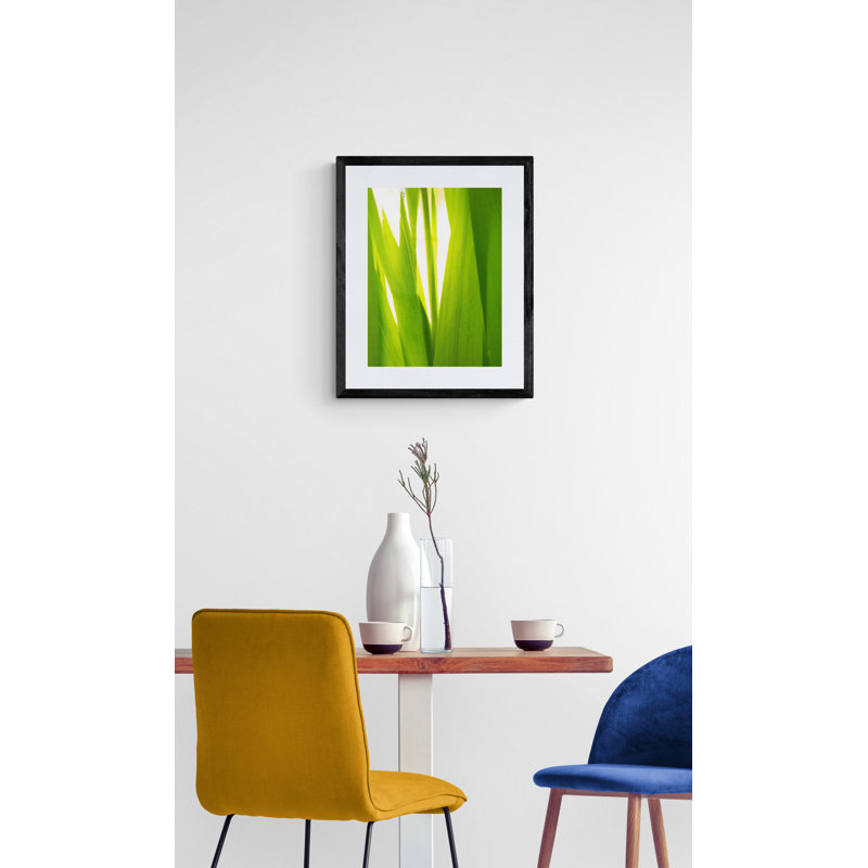 Sunkissed _ 3592 Print by Petra Trimmel, Black Framed Paper, 21.2" H x 17.2" W