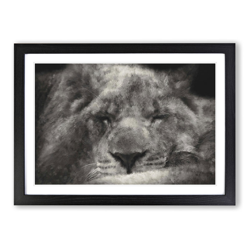 Lion Vol.2 - Picture Frame Graphic Art, 27cm H x 36cm W x 2cm D, Black Framed