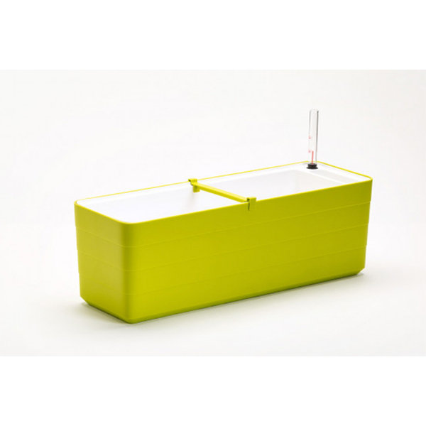 Boîte à fleurs avec réservoir Justiz, H 8 po x l 32 po x P 8 po, Lime / Blanc