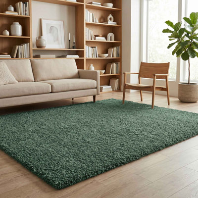 Ainsley Plain Living Room Shaggy Area Rug Modern Soft Pile Polyester Rug