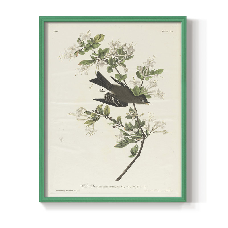 «Vintage Animal Print», impression encadrée en bois massif, H 30 po x l 24 po, Vert