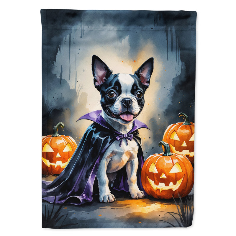 Drapeau de jardin chiot Halloween, Boston Terrier